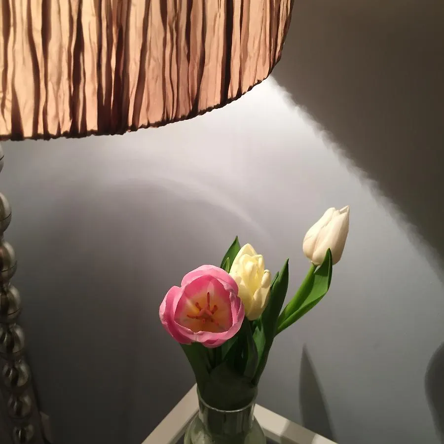 Sweet-M Apartment Boryspil
